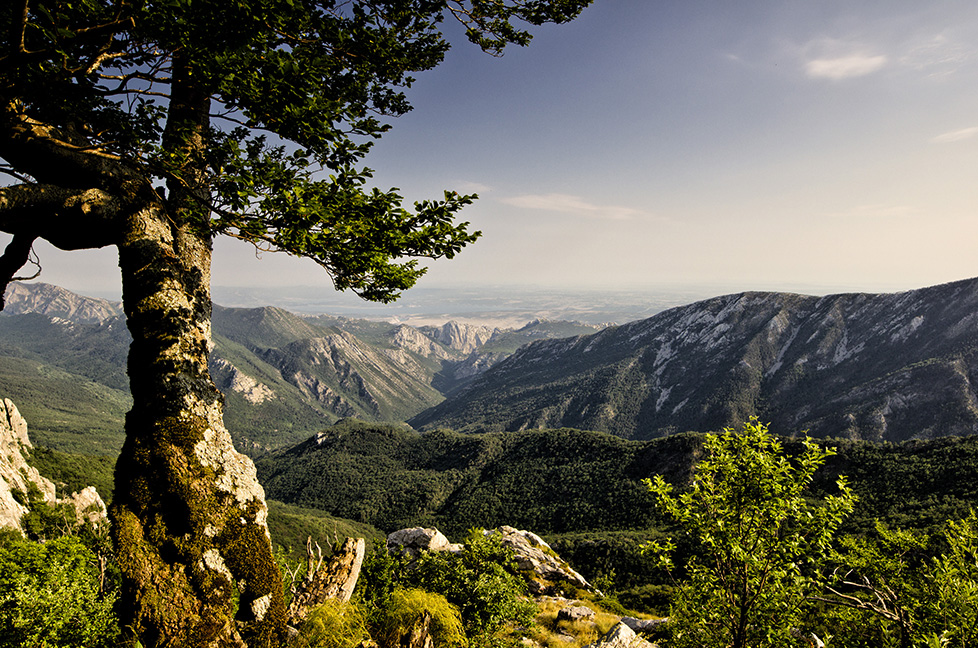 Paklenica