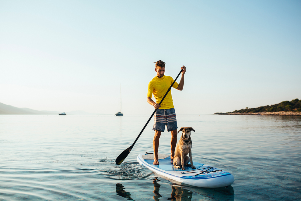 Bring deinen Adrenalin in Schwung - Paddleboarden